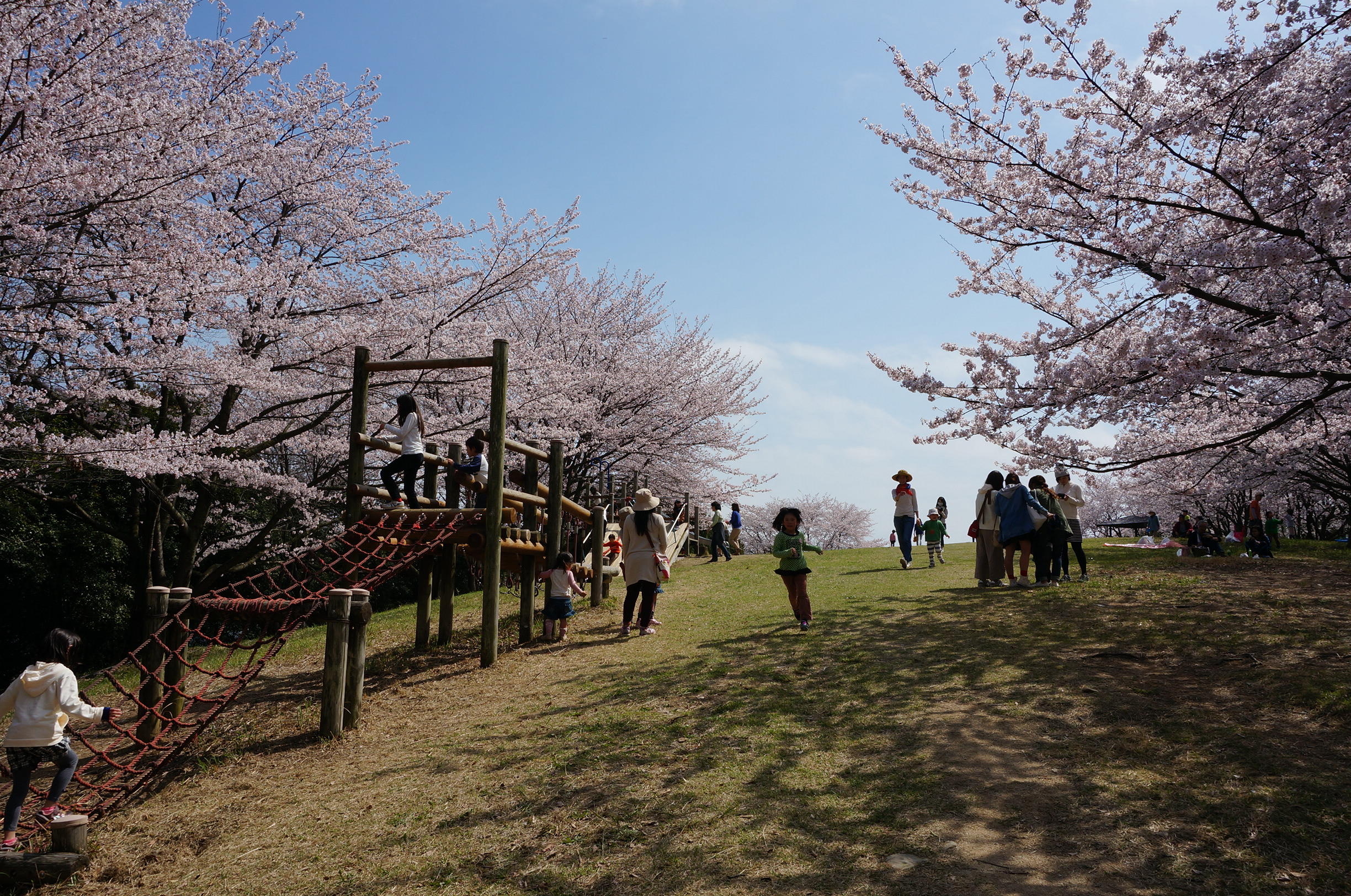 2015-04-02青の山展望台 (13).JPG